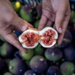 El higo negro de Bursa ya tiene indicación geográfica europea