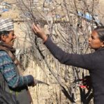 La transformación de una comunidad con técnicas sostenibles contra el éxodo rural