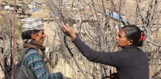 La transformación de una comunidad con técnicas sostenibles contra el éxodo rural La transformación de una comunidad con técnicas sostenibles contra el éxodo rural