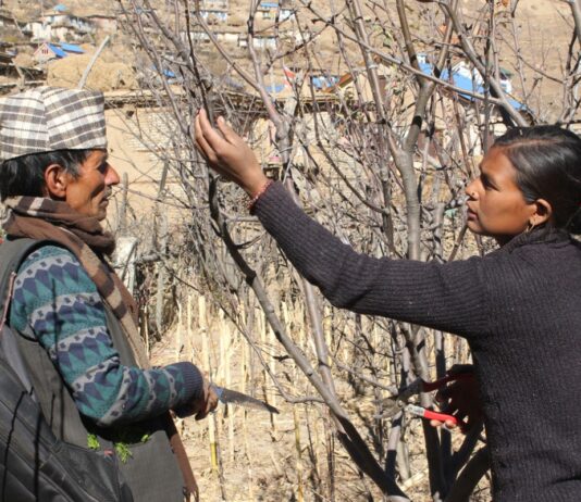 La transformación de una comunidad con técnicas sostenibles contra el éxodo rural La transformación de una comunidad con técnicas sostenibles contra el éxodo rural