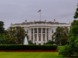 ¿Por qué Estados Unidos se retiró de la OMS y qué pasará ahora? ¿Por qué Estados Unidos se retiró de la OMS y qué pasará ahora?