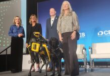 ¿Pueden los perros y los robots resolver juntos problemas humanos? ¿Pueden los perros y los robots resolver juntos problemas humanos?