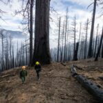 ¿Qué son los fuegos complejos y por qué preocupan en California