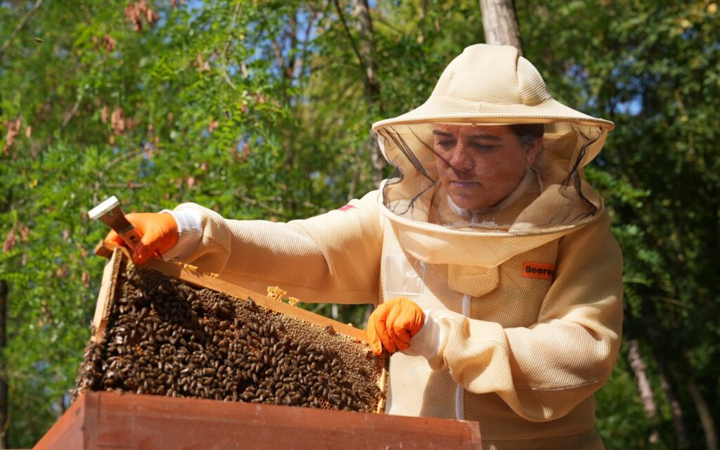 Cómo una madre cambió la ciudad por las abejas y transformó su comunidad rural