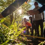 Convocan voluntarios para reconstruir senderos en Torres del Paine
