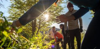 Convocan voluntarios para reconstruir senderos en Torres del Paine Convocan voluntarios para reconstruir senderos en Torres del Paine