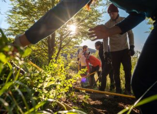 Convocan voluntarios para reconstruir senderos en Torres del Paine Convocan voluntarios para reconstruir senderos en Torres del Paine