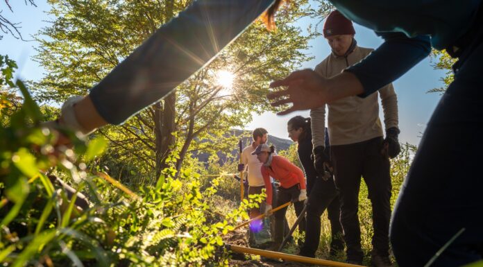 Convocan voluntarios para reconstruir senderos en Torres del Paine Convocan voluntarios para reconstruir senderos en Torres del Paine