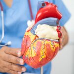 Encuesta revela desconocimiento sobre riesgo de enfermedades del corazón en Estados Unidos