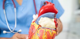 Encuesta revela desconocimiento sobre riesgo de enfermedades del corazón en Estados Unidos Encuesta revela desconocimiento sobre riesgo de enfermedades del corazón en Estados Unidos