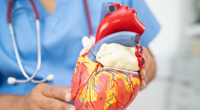 Encuesta revela desconocimiento sobre riesgo de enfermedades del corazón en Estados Unidos Encuesta revela desconocimiento sobre riesgo de enfermedades del corazón en Estados Unidos