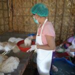 Fideos de arroz dan estabilidad económica a familias rurales