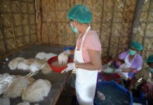 Fideos de arroz dan estabilidad económica a familias rurales Fideos de arroz dan estabilidad económica a familias rurales