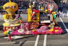 Dos bandas latinoamericanas irán al Desfile de las Rosas 2027 Dos bandas latinoamericanas irán al Desfile de las Rosas 2027