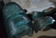 Hallazgos del Tren Maya revelan historia en Quintana Roo Hallazgos del Tren Maya revelan historia en Quintana Roo