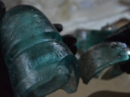 Hallazgos del Tren Maya revelan historia en Quintana Roo Hallazgos del Tren Maya revelan historia en Quintana Roo