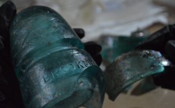 Hallazgos del Tren Maya revelan historia en Quintana Roo Hallazgos del Tren Maya revelan historia en Quintana Roo