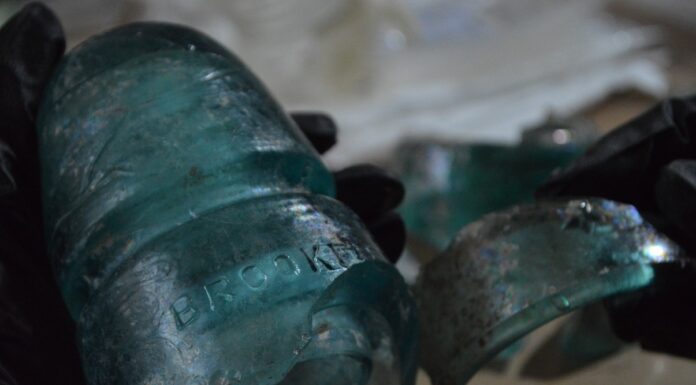 Hallazgos del Tren Maya revelan historia en Quintana Roo Hallazgos del Tren Maya revelan historia en Quintana Roo