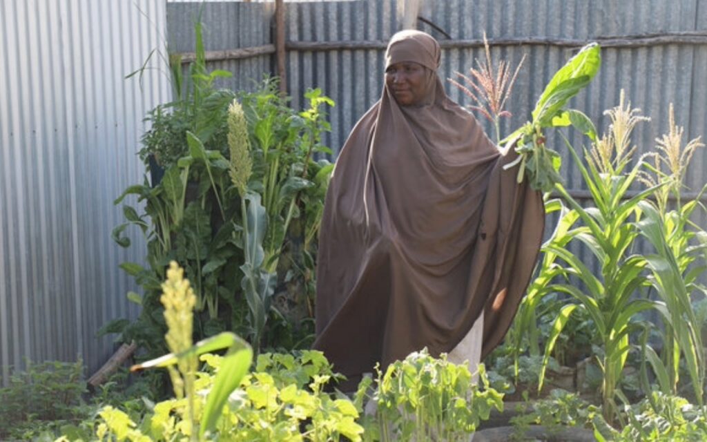 Huertos domésticos cambian la vida en un campo de refugiados