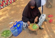 Huertos domésticos cambian la vida en un campo de refugiados Huertos domésticos cambian la vida en un campo de refugiados