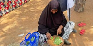 Huertos domésticos cambian la vida en un campo de refugiados Huertos domésticos cambian la vida en un campo de refugiados