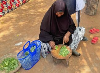 Huertos domésticos cambian la vida en un campo de refugiados Huertos domésticos cambian la vida en un campo de refugiados