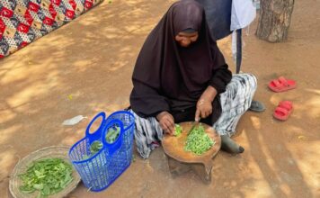 Huertos domésticos cambian la vida en un campo de refugiados Huertos domésticos cambian la vida en un campo de refugiados