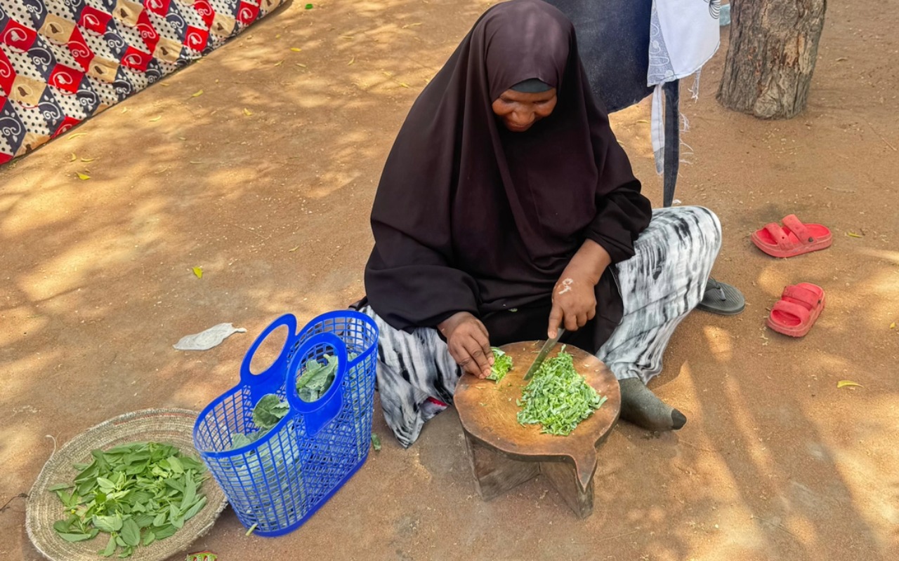 Huertos domésticos cambian la vida en un campo de refugiados Huertos domésticos cambian la vida en un campo de refugiados