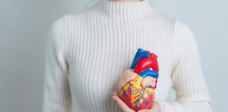 La menopausia aumenta el riesgo de enfermedades cardiovasculares La menopausia aumenta el riesgo de enfermedades cardiovasculares