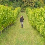 Viticultora de 25 años lidera transición hacia viñedos orgánicos en su región