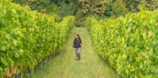Viticultora de 25 años lidera transición hacia viñedos orgánicos en su región Viticultora de 25 años lidera transición hacia viñedos orgánicos en su región
