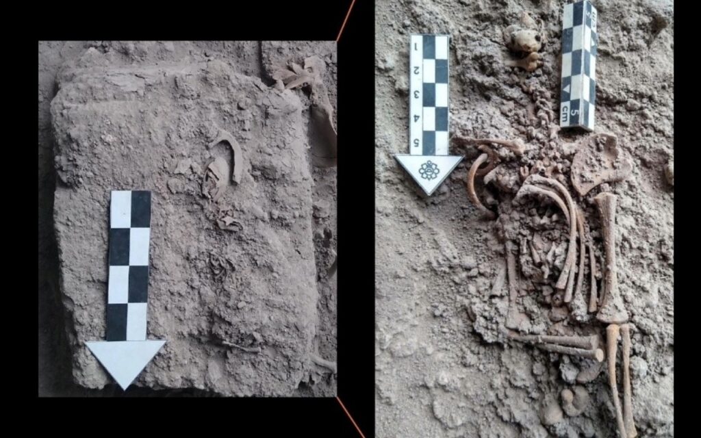 El hallazgo que revela muertes de mujeres durante parto y cólera en Tlatelolco