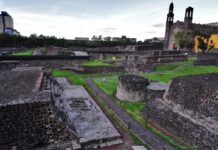 El hallazgo que revela muertes de mujeres durante parto y cólera en Tlatelolco El hallazgo que revela muertes de mujeres durante parto y cólera en Tlatelolco