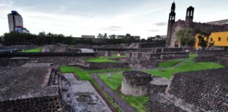 El hallazgo que revela muertes de mujeres durante parto y cólera en Tlatelolco El hallazgo que revela muertes de mujeres durante parto y cólera en Tlatelolco