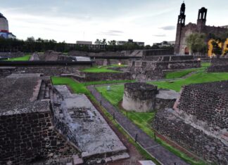 El hallazgo que revela muertes de mujeres durante parto y cólera en Tlatelolco El hallazgo que revela muertes de mujeres durante parto y cólera en Tlatelolco