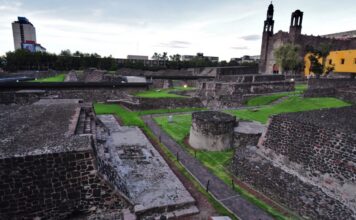 El hallazgo que revela muertes de mujeres durante parto y cólera en Tlatelolco El hallazgo que revela muertes de mujeres durante parto y cólera en Tlatelolco