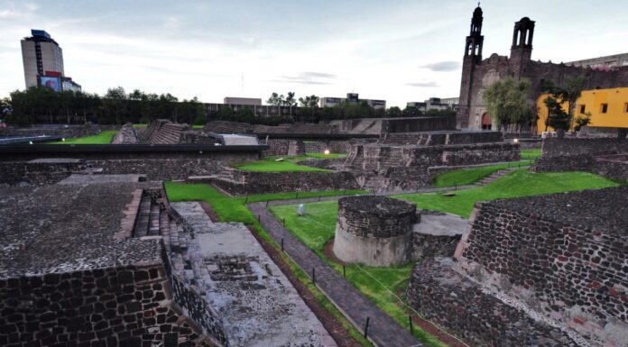 El hallazgo que revela muertes de mujeres durante parto y cólera en Tlatelolco El hallazgo que revela muertes de mujeres durante parto y cólera en Tlatelolco