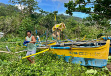 Estrategias comunitarias reducen impacto de tifones en Filipinas Estrategias comunitarias reducen impacto de tifones en Filipinas