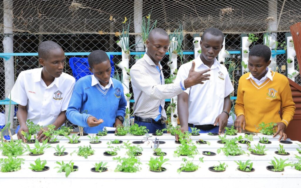 Estudiantes aprenden a cultivar alimentos con tecnología hidropónica