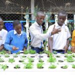 Estudiantes aprenden a cultivar alimentos con tecnología hidropónica