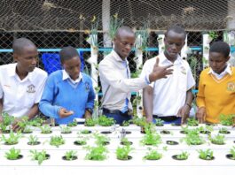 Estudiantes aprenden a cultivar alimentos con tecnología hidropónica Estudiantes aprenden a cultivar alimentos con tecnología hidropónica