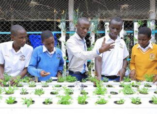 Estudiantes aprenden a cultivar alimentos con tecnología hidropónica Estudiantes aprenden a cultivar alimentos con tecnología hidropónica