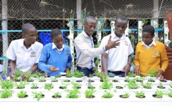 Estudiantes aprenden a cultivar alimentos con tecnología hidropónica Estudiantes aprenden a cultivar alimentos con tecnología hidropónica