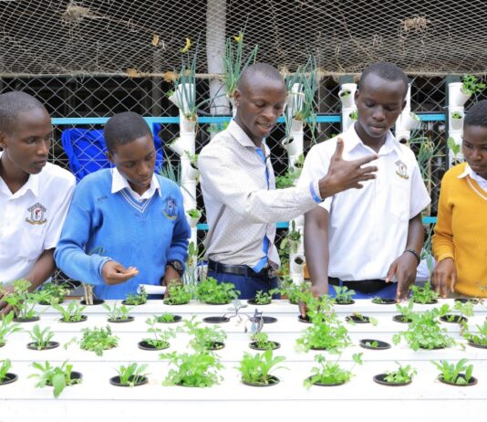 Estudiantes aprenden a cultivar alimentos con tecnología hidropónica Estudiantes aprenden a cultivar alimentos con tecnología hidropónica