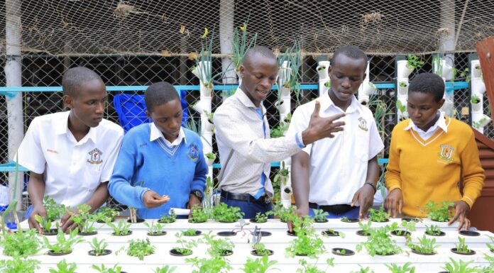 Estudiantes aprenden a cultivar alimentos con tecnología hidropónica Estudiantes aprenden a cultivar alimentos con tecnología hidropónica