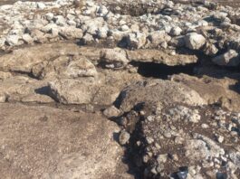 Hallazgo en Ucú revela rituales mayas de hace más de 2,000 años Hallazgo en Ucú revela rituales mayas de hace más de 2,000 años