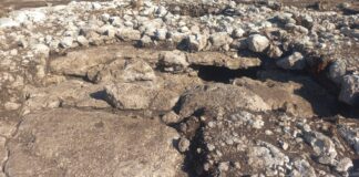 Hallazgo en Ucú revela rituales mayas de hace más de 2,000 años Hallazgo en Ucú revela rituales mayas de hace más de 2,000 años