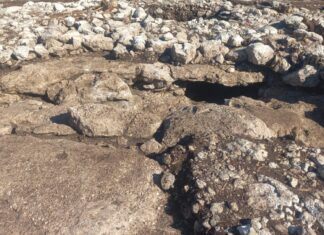 Hallazgo en Ucú revela rituales mayas de hace más de 2,000 años Hallazgo en Ucú revela rituales mayas de hace más de 2,000 años