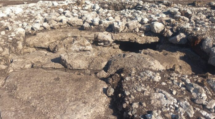 Hallazgo en Ucú revela rituales mayas de hace más de 2,000 años Hallazgo en Ucú revela rituales mayas de hace más de 2,000 años