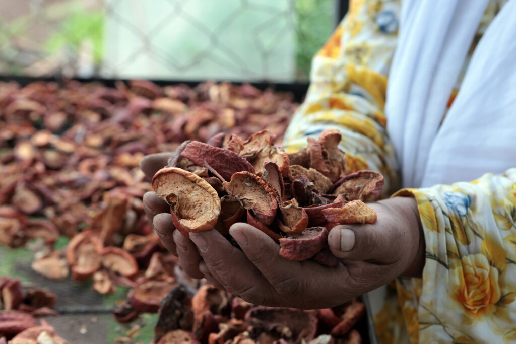 Proyecto agrícola empodera a mujeres en comunidades rurales